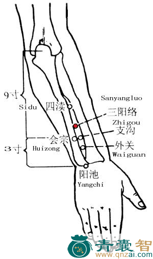 三阳络穴的主治功效位置图解-青囊智