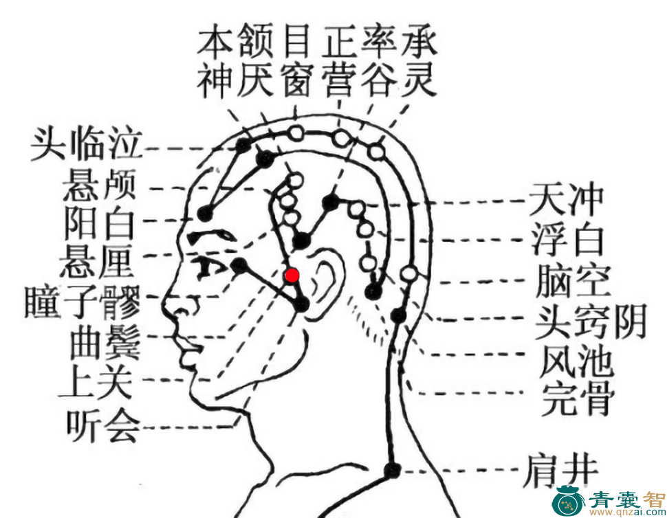 上关穴的主治功效位置图解-青囊智