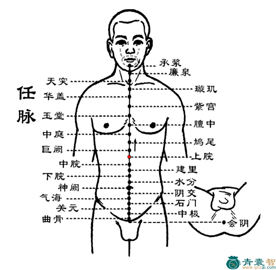 上脘穴的主治功效位置图解-青囊智