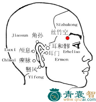 丝竹空穴的主治功效位置图解-青囊智