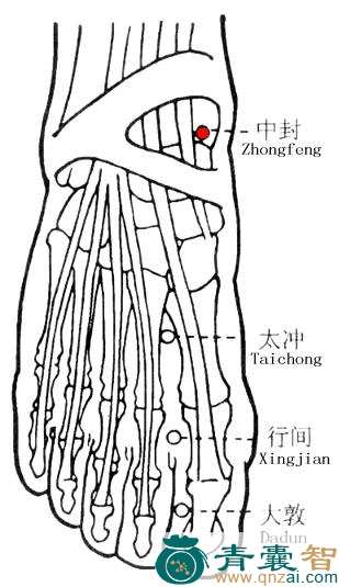 中封穴的主治功效位置图解-青囊智