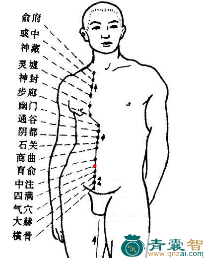 中注穴的主治功效位置图解-青囊智