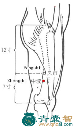 中渎穴的主治功效位置图解-青囊智