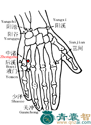 中渚穴的主治功效位置图解-青囊智