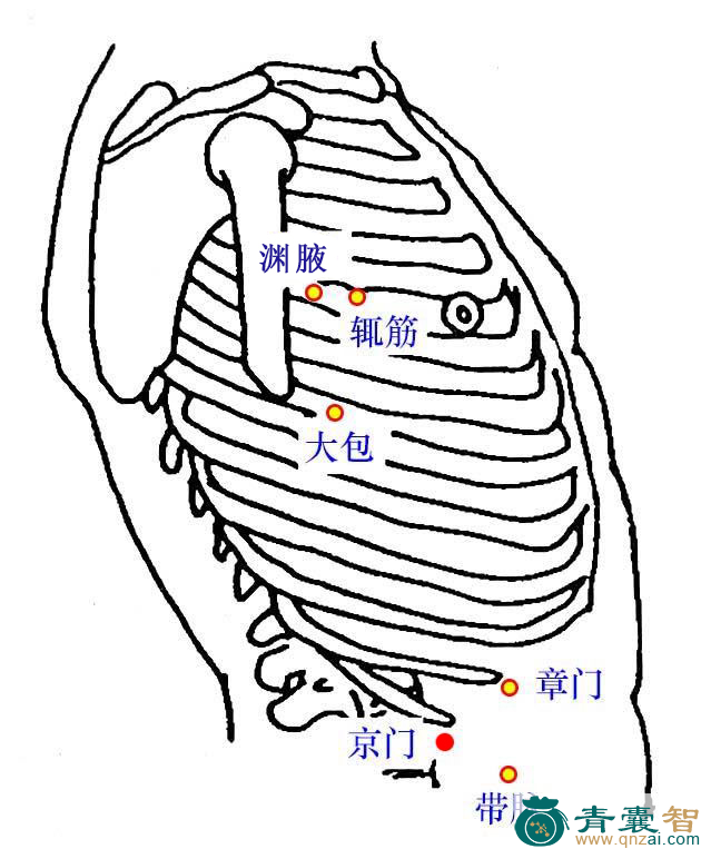 京门穴的主治功效位置图解-青囊智