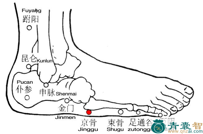 京骨穴的主治功效位置图解-青囊智