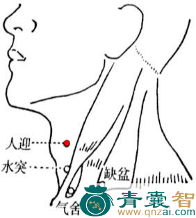 人迎穴的主治功效位置图解-青囊智