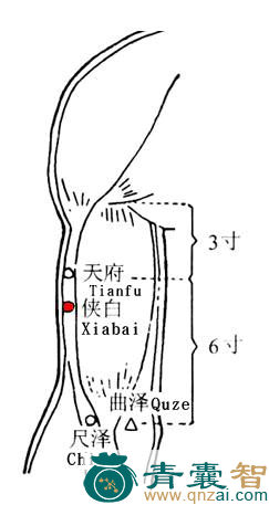 侠白穴的主治功效位置图解-青囊智