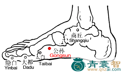 公孙穴的主治功效位置图解-青囊智