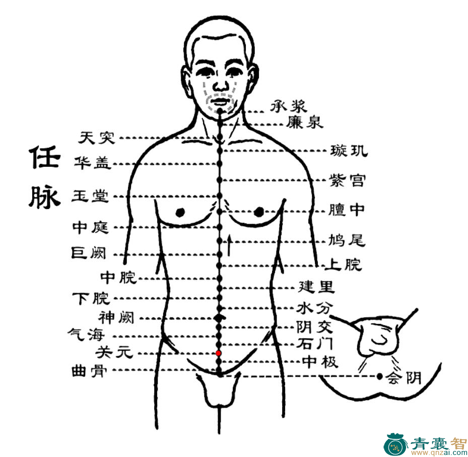 关元穴的主治功效位置图解-青囊智