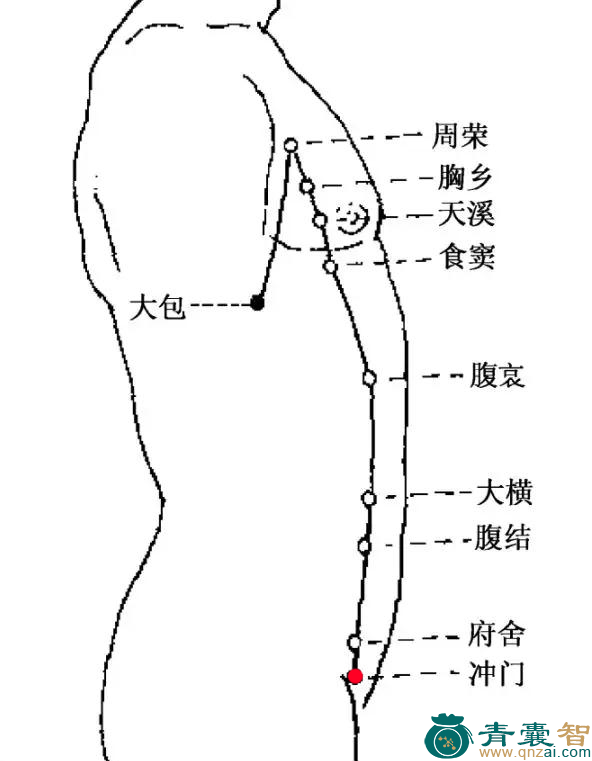 冲门穴的主治功效位置图解-青囊智