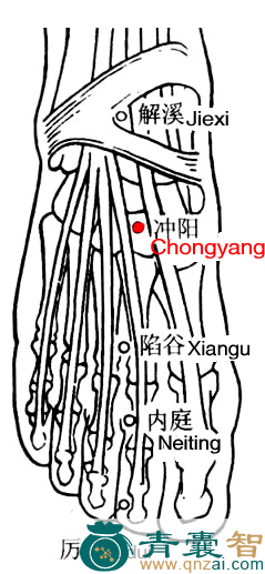 冲阳穴的主治功效位置图解-青囊智