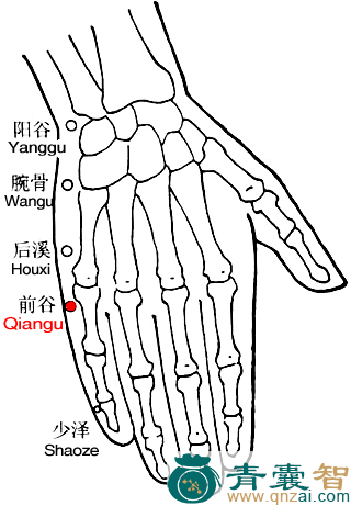 前谷穴的主治功效位置图解-青囊智