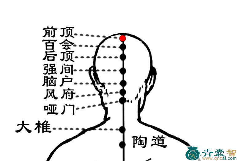 前顶穴的主治功效位置图解-青囊智