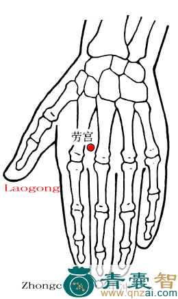 劳宫穴的主治功效位置图解-青囊智