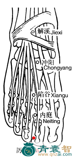 厉兑穴的主治功效位置图解-青囊智