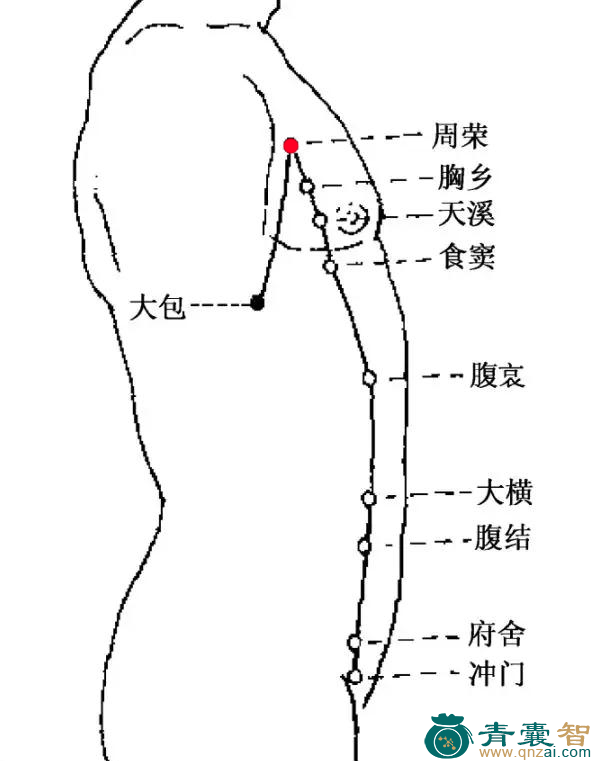 周荣穴的主治功效位置图解-青囊智