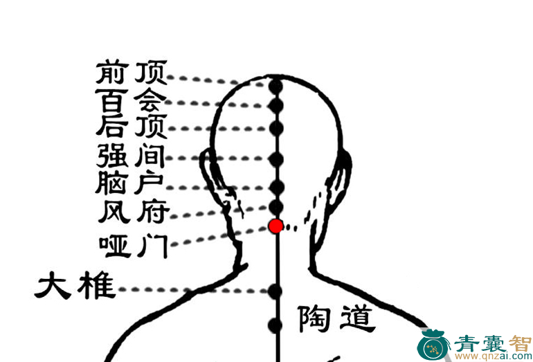 哑门穴的主治功效位置图解-青囊智