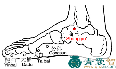 商丘穴的主治功效位置图解-青囊智