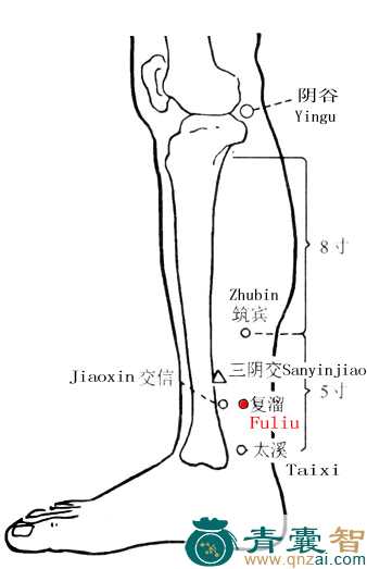复溜穴的主治功效位置图解-青囊智
