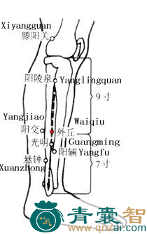 外丘穴的主治功效位置图解-青囊智