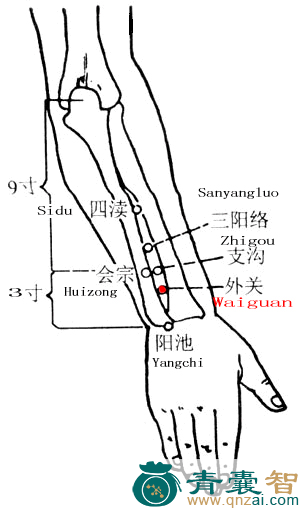 外关穴的主治功效位置图解-青囊智