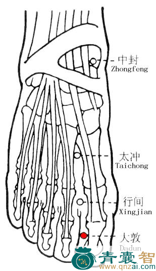 大敦穴的主治功效位置图解-青囊智