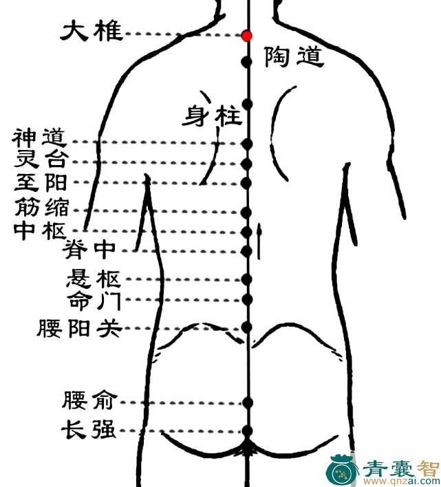 大椎穴的主治功效位置图解-青囊智