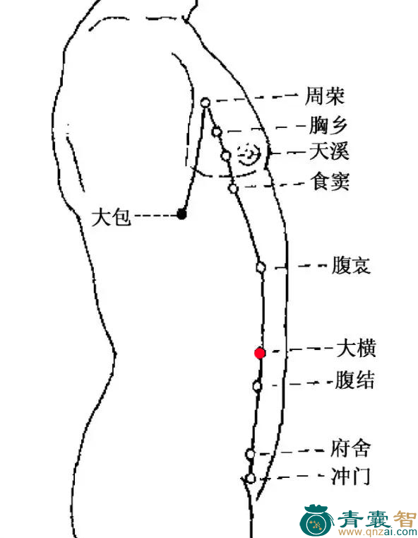 大横穴的主治功效位置图解-青囊智