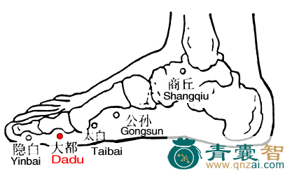 大都穴的主治功效位置图解-青囊智