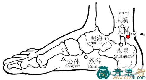 大钟穴的主治功效位置图解-青囊智