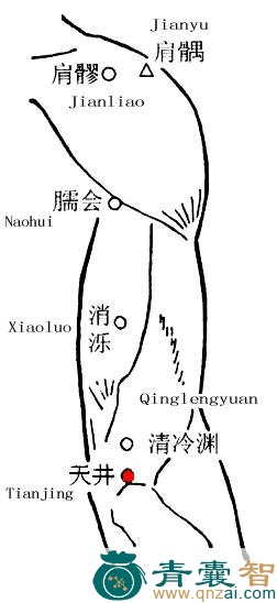 天井穴的主治功效位置图解-青囊智