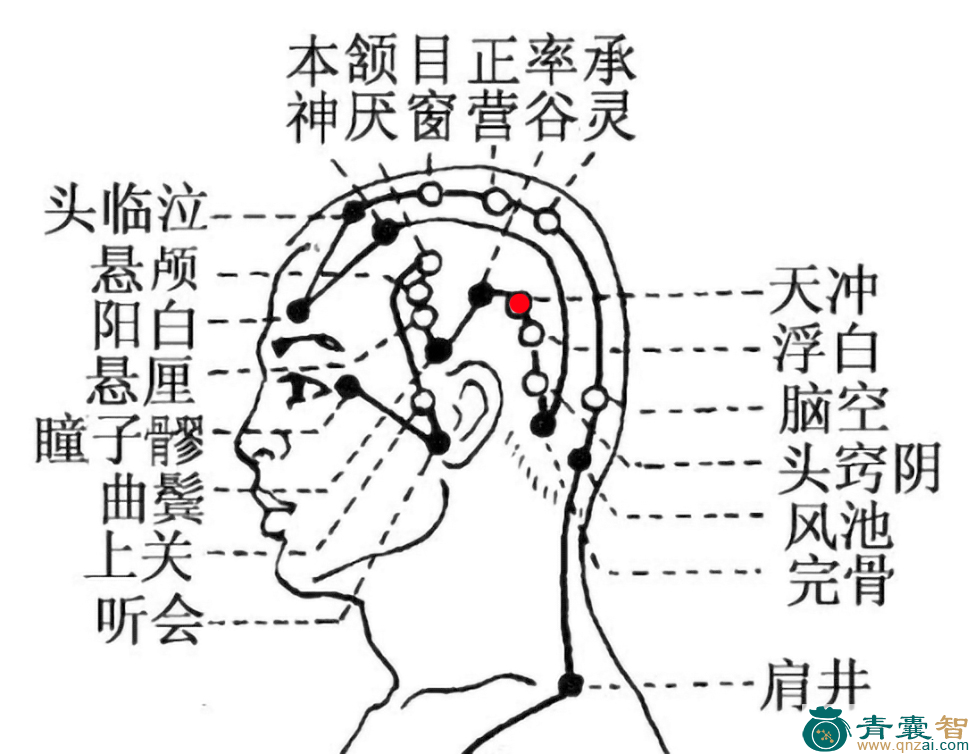 天冲穴的主治功效位置图解-青囊智