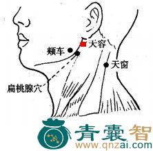 天容穴的主治功效位置图解-青囊智