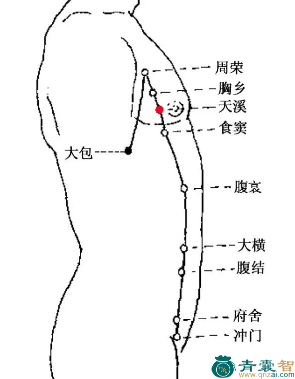 天溪穴的主治功效位置图解-青囊智