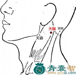 天牖穴的主治功效位置图解-青囊智