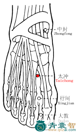 太冲穴的主治功效位置图解-青囊智