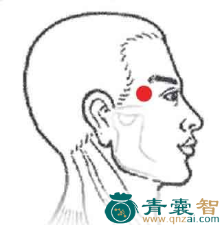 太阳穴的主治功效位置图解-青囊智