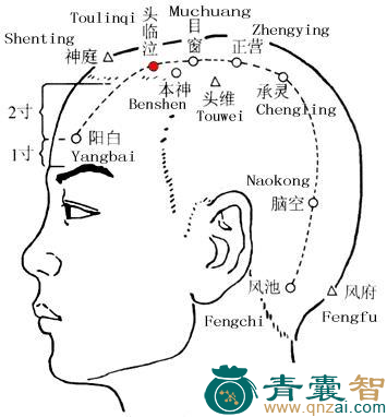 头临泣穴的主治功效位置图解-青囊智