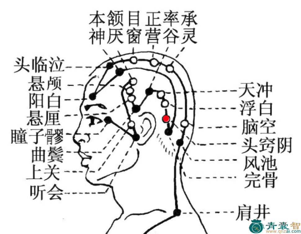 头窍阴穴的主治功效位置图解-青囊智