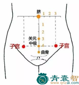 子宫穴的主治功效位置图解-青囊智