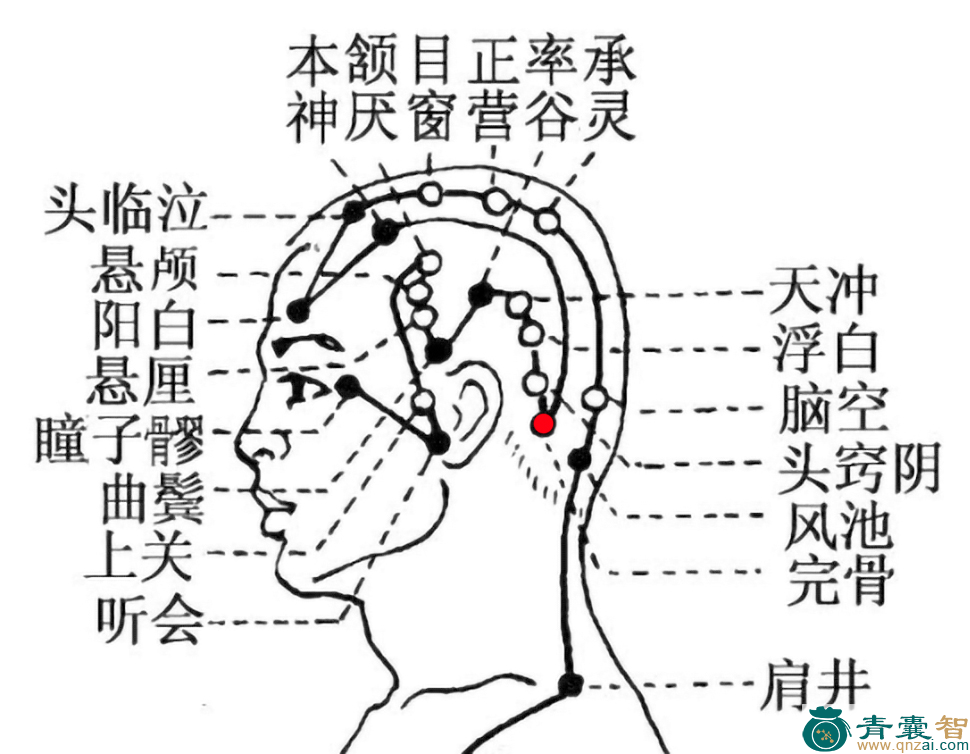 完骨穴的主治功效位置图解-青囊智