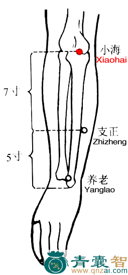 小海穴的主治功效位置图解-青囊智