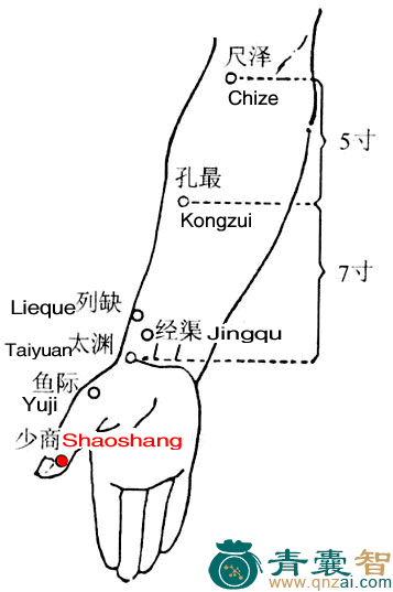 少商穴的主治功效位置图解-青囊智