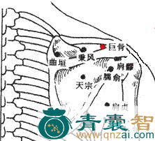 巨骨穴的主治功效位置图解-青囊智