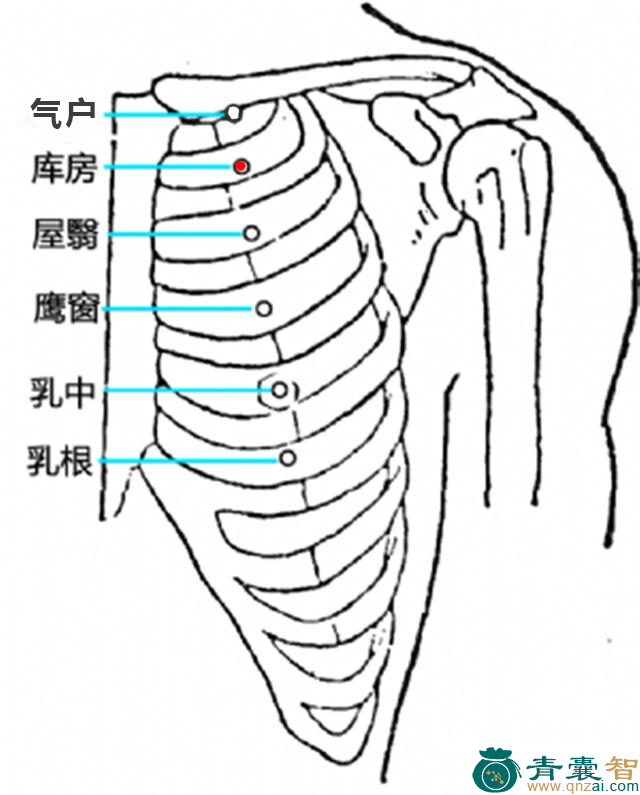 库房穴的主治功效位置图解-青囊智