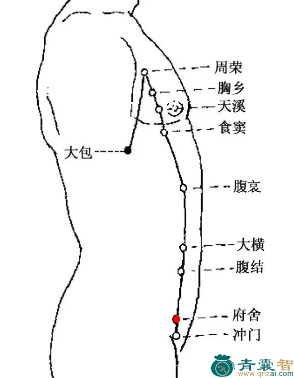 府舍穴的主治功效位置图解-青囊智