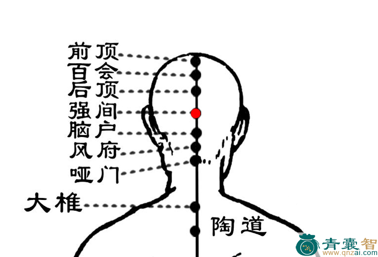 强间穴的主治功效位置图解-青囊智