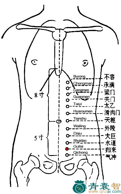 归来穴的主治功效位置图解-青囊智