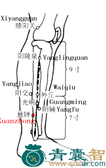 悬钟穴的主治功效位置图解-青囊智